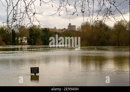 Eton, Windsor, Berkshire, Royaume-Uni. 3 février 2021. Vue depuis un sentier public dans le parc Eton College vers le château de Windsor et les jardins Luxmore. La Tamise a fait éclater ses rives. Une alerte d'inondation demeure en place le long de la Tamise, de Maidenhead à Windsor et Eton. On s'attend à ce que les niveaux des cours d'eau demeurent élevés pendant les prochains jours, mais on ne s'attend pas actuellement à des inondations. Crédit : Maureen McLean/Alay Live News Banque D'Images