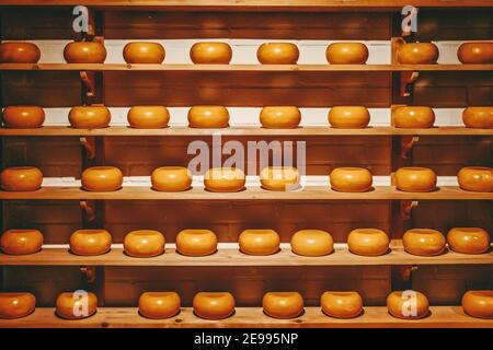 Des rangées de fromages sur les étagères en bois montrent l'arrangement dans un magasin de fromages spécialisés Banque D'Images