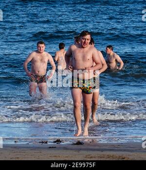 Baignade en mer le 1er janvier. Banque D'Images