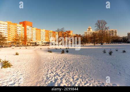 Parc de la ville d'hiver avec beaucoup de petits sapins et un chemin vers le quartier résidentiel Banque D'Images