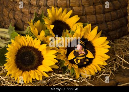 Petit bébé nouveau-né en costume d'abeille dormant dans le coeur d'un tournesol sur fond d'une vieille ruche Banque D'Images