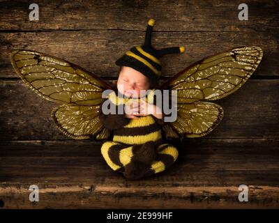 Nouveau-né adorable bébé garçon en costume d'abeille dormant sur un ancienne étagère en bois Banque D'Images