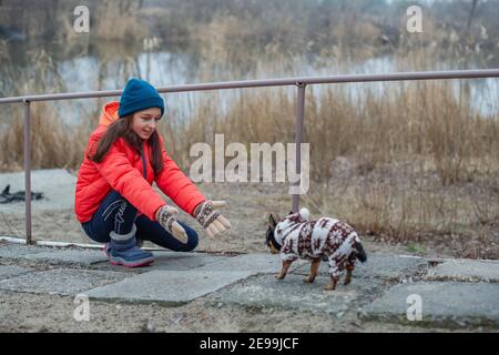 Fille de 10 ans. TTeenager fille en veste orange, chapeau et foulard. Fille et chihuahua. Chien Banque D'Images