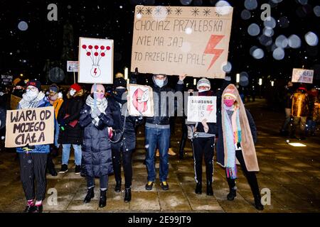 Cracovie, petite Pologne, Pologne. 29 janvier 2021. Des manifestants tenant des pancartes exprimant leur opinion pendant les manifestations.après le verdict de la Cour constitutionnelle polonaise, entré en vigueur le 27 janvier, pour mettre en œuvre l'une des lois anti-avortement les plus restrictives d'Europe, des centaines de Polonais ont pris les rues dans toutes les grandes villes. Des manifestations ont été organisées par la grève des femmes. Credit: Filip Radwanski/SOPA Images/ZUMA Wire/Alay Live News Banque D'Images