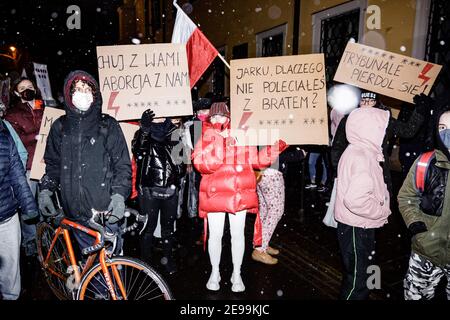 Cracovie, petite Pologne, Pologne. 29 janvier 2021. Des manifestants tenant des pancartes exprimant leur opinion pendant les manifestations.après le verdict de la Cour constitutionnelle polonaise, entré en vigueur le 27 janvier, pour mettre en œuvre l'une des lois anti-avortement les plus restrictives d'Europe, des centaines de Polonais ont pris les rues dans toutes les grandes villes. Des manifestations ont été organisées par la grève des femmes. Credit: Filip Radwanski/SOPA Images/ZUMA Wire/Alay Live News Banque D'Images