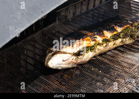 Farci au saumon aux herbes grillées sur le barbecue Banque D'Images