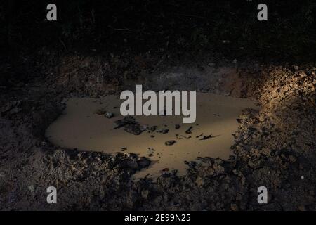 De l'eau brun foncé dans une flaque boueuse. Banque D'Images