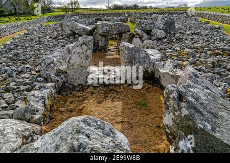 Creevykeel, Comté de Sligo, Irlande. 26 avril 2016. Le Creevykeel court Tomb est situé près de Cliffoney, dans le comté de Sligo, en Irlande. Banque D'Images