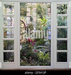 Vue sur la fenêtre serre avec différentes fleurs, palmiers et autres plantes tropicales en journée ensoleillée. Banque D'Images