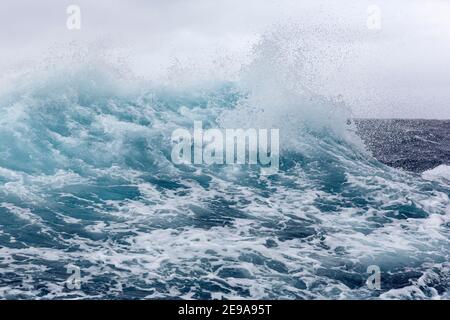 De forts vents d'ouest créent de grandes vagues dans le passage Drake, en Antarctique. Banque D'Images