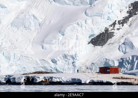 Refuge argentin dans le port de Mikkelsen, île Trinity, Antarctique. Banque D'Images