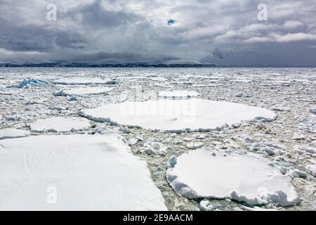 Montagnes enneigées et glace de mer dense dans le chenal Neumayer, l'archipel Palmer, l'Antarctique. Banque D'Images