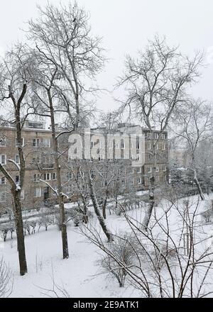 Photo panoramique d'arbres enneigés et hivernaux Banque D'Images