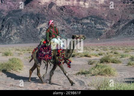 Policier à dos de chameau Wadi Rum Jordan Banque D'Images