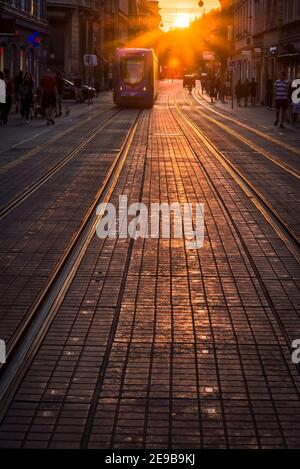 Tramway et tramway à l'approche au coucher du soleil dans la rue Ilica, Zagreb, Croatie Banque D'Images