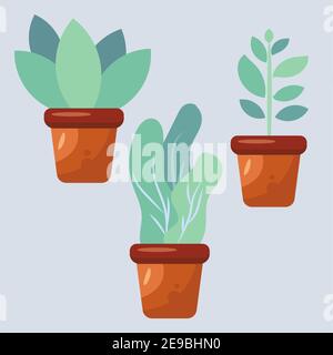illustration de vecteur de plante de maison dans un ensemble de style plat Illustration de Vecteur