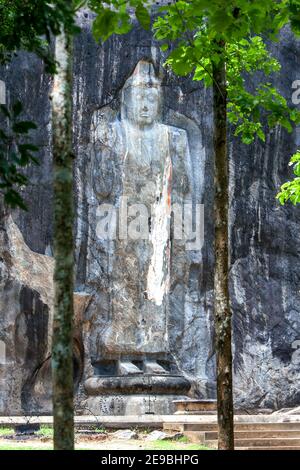 La statue de Bouddha sculptée de 15 mètres de haut à Buduruwagala. C'est la plus haute statue de Bouddha debout au Sri Lanka. Banque D'Images