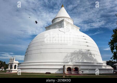 Le soleil de la fin de l'après-midi frappe le Tissamaharama Raja Maha Viharaya à Tissamaharama dans le sud du Sri Lanka. C'est un dagoba bouddhiste. Banque D'Images