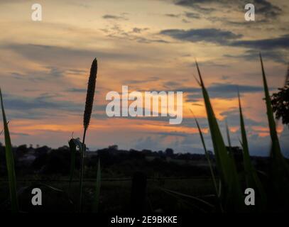 Midwest brésilien Lanscapes avec coucher de soleil et de beaux endroits Banque D'Images