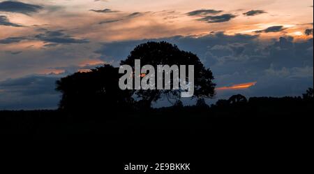 Midwest brésilien Lanscapes avec coucher de soleil et de beaux endroits Banque D'Images