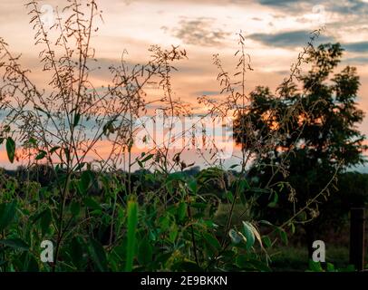 Midwest brésilien Lanscapes avec coucher de soleil et de beaux endroits Banque D'Images