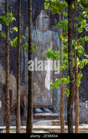 La statue de Bouddha sculptée en pierre de 15 mètres de haut émerge des bois de Buduruwagala, près de Wellawaya, dans le centre du Sri Lanka. Banque D'Images