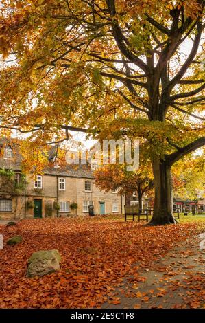 STOW-ON-THE-WOLD, GLOUCESTERSHIRE, Royaume-Uni - 31 OCTOBRE 2009 : vue du Village Green en automne Banque D'Images