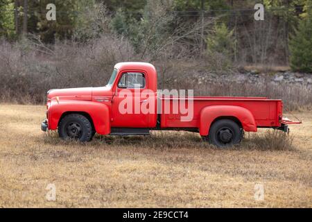 Un pick-up L130 international 1952, à Troy, Montana. Les camions de la série L internationale ont été produits par International Harvester de 1949 à 1952. Banque D'Images