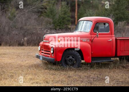 Un pick-up L130 international 1952, à Troy, Montana. Les camions de la série L internationale ont été produits par International Harvester de 1949 à 1952. Banque D'Images