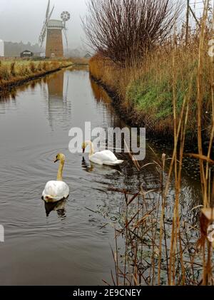 Horsey Windpump est un monument emblématique de Broadland vu ici lors d'une journée d'hiver brumeuse sans bateaux ni personnes pour perturber la paix. Banque D'Images