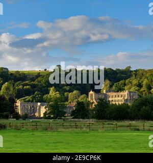 Les ruines ensoleillées pittoresques de la magnifique abbaye médiévale historique de Rievaulx à flanc de colline dans la vallée tranquille (soirée d'été) - North Yorkshire, Angleterre, Royaume-Uni. Banque D'Images