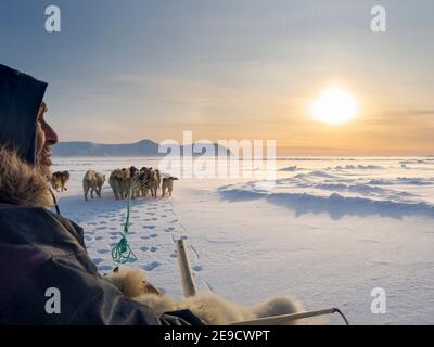 Chasseur inuit sur traîneau à chiens sur la glace de mer de la baie Melville, près de Kullorsuaq, dans le nord du Groenland. Amérique du Nord, territoire danois Banque D'Images