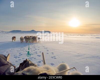 Chasseur inuit sur traîneau à chiens, portant des pantalons et des bottes traditionnels en fourrure d'ours polaire sur la glace de mer de la baie Melville, près de Kullorsuaq, dans le Nord Banque D'Images