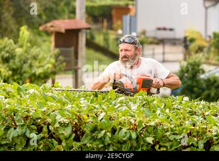 Portrait de la haie de coupe de jardinier avec un taille-haie électrique Banque D'Images