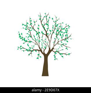 Imprimé arbre, vert bois biologique. Illustration vectorielle Illustration de Vecteur