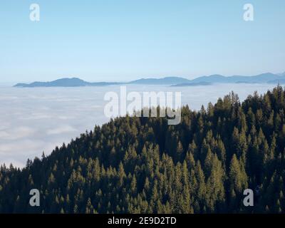 Vue depuis le mont Hoernle sur une mer de brouillard qui cache les contreforts des Alpes bavaroises. alpes bavaroises près d'Unterammergau dans le pays de Werdenfelser (werden Banque D'Images