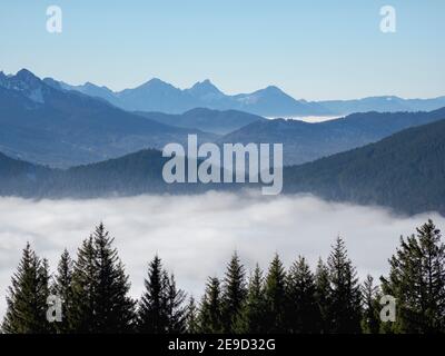 Vue depuis le Mont Hoernle sur une mer de brouillard cachant la vallée de la rivière Ammer vers Fuessen. Alpes bavaroises près d'Unterammergau dans le pays de Werdenfelser Banque D'Images