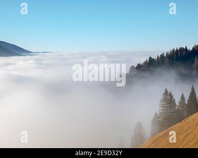 Vue depuis le mont Hoernle sur une mer de brouillard qui cache les contreforts des Alpes bavaroises. alpes bavaroises près d'Unterammergau dans le pays de Werdenfelser (werden Banque D'Images