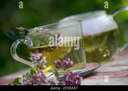 Origanum sauvage, marjoram sauvage (Origanum vulgare), thé autofabriqué à partir de marjoram sauvage, Allemagne Banque D'Images