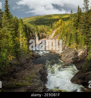 Automne en Norvège. Rivière Gaula et forêts de montagne boréales. Paysage naturel de l'extérieur scandinave. Banque D'Images