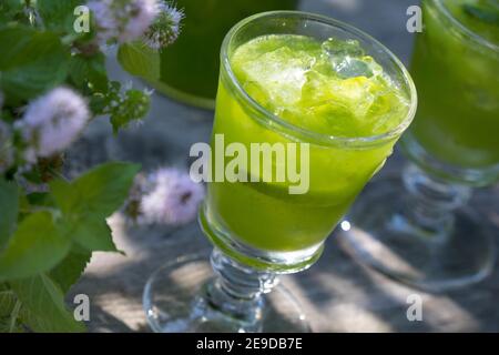 Menthe d'eau sauvage, menthe d'eau, menthe équine (Mentha aquatica), limonade auto-faite de menthe d'eau, Allemagne Banque D'Images