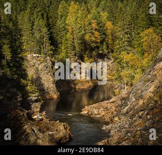 Automne en Norvège. Rivière Gaula et forêts de montagne boréales. Paysage naturel de l'extérieur scandinave. Banque D'Images