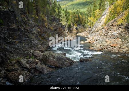 Automne en Norvège. Rivière Gaula et forêts de montagne boréales. Paysage naturel de l'extérieur scandinave. Banque D'Images