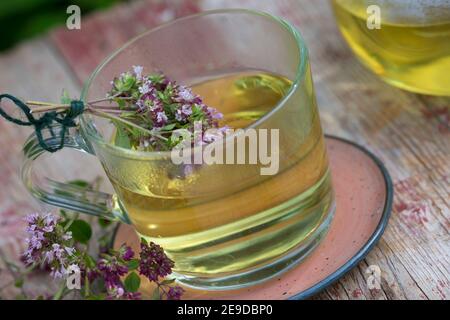 Origanum sauvage, marjoram sauvage (Origanum vulgare), thé autofabriqué à partir de marjoram sauvage, Allemagne Banque D'Images