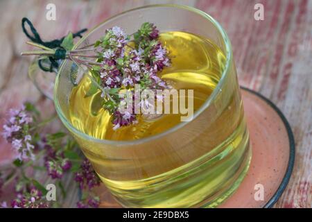 Origanum sauvage, marjoram sauvage (Origanum vulgare), thé autofabriqué à partir de marjoram sauvage, Allemagne Banque D'Images