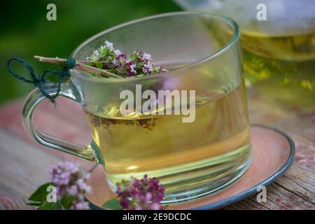 Origanum sauvage, marjoram sauvage (Origanum vulgare), thé autofabriqué à partir de marjoram sauvage, Allemagne Banque D'Images