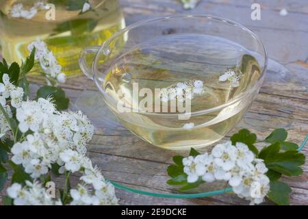 Aubépine, aubépine, aubépine anglaise (Crataegus monogyna), thé aubépine-fleur autofabriqué, Allemagne Banque D'Images