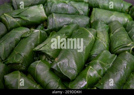 Verts de collard farcis. Collard Greens farcis à la viande et au riz, cuisine turque traditionnelle. Le chou noir roulant prêt à cuire Banque D'Images