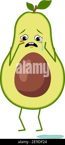 Adorable personnage d'avocat avec pleurs et larmes Illustration de Vecteur