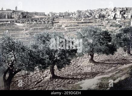 Photographie de la fin du XIXe siècle - Bethléem, Palestine, vers 1890, aujourd'hui Cisjordanie. Banque D'Images